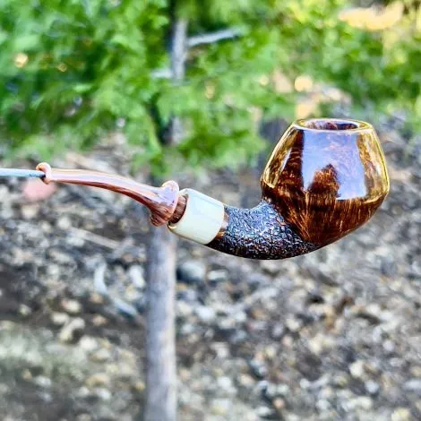 Clavey Rhodesian - Image 3