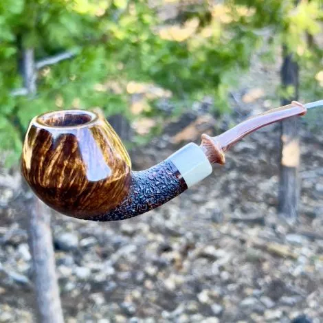 Clavey Rhodesian - Image 4