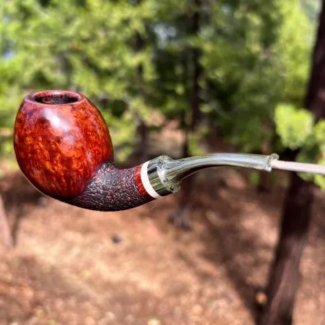 Mariposa Egg - Image 4