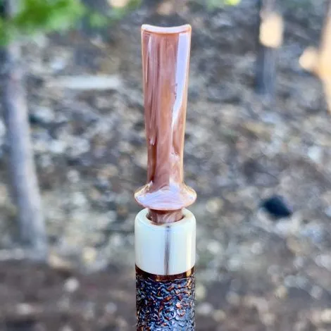 Clavey Rhodesian - Image 5